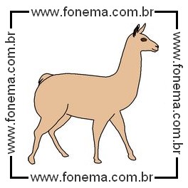 Alpaca