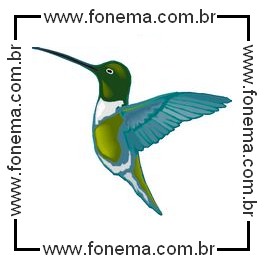 Beija-Flor