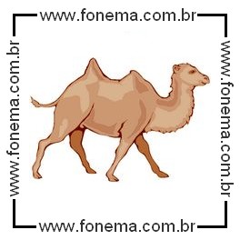 Camelo