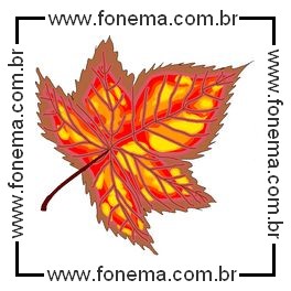 Folha