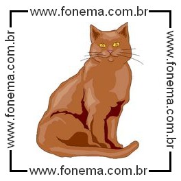 Gato