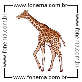 Girafa