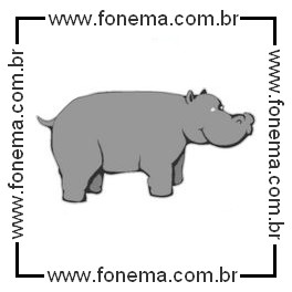 Hipopótamo