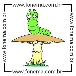 Inseto no Cogumelo