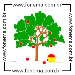 Macieira