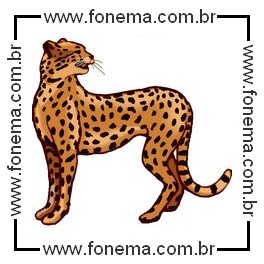 Onça