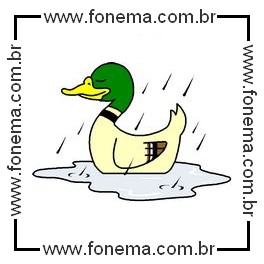 Pato
