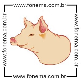 Porco