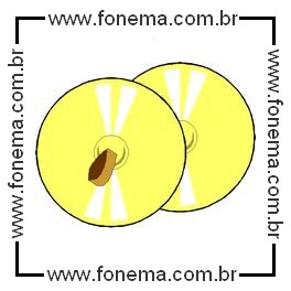 Pratos Musicais