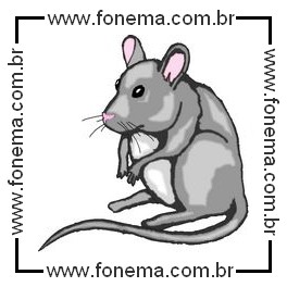 Rato