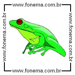 Sapo Verde