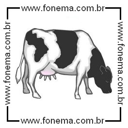 Vaca
