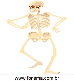 Imagem de Esqueleto Para Alfabetização